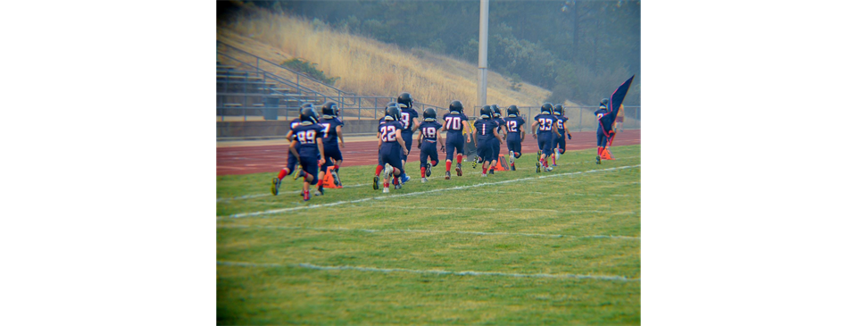 Falcons on the Move!