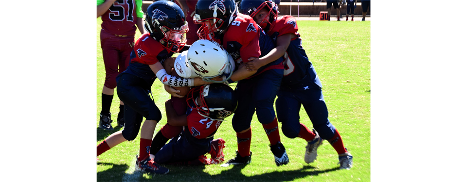 Central Valley Youth Falcons